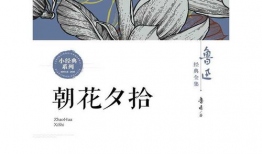 朝花夕拾 漫画,穿越时光的漫画之旅