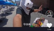 网红短视频,短视频热潮下的网红现象解析