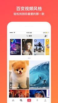 muse短视频怎么玩